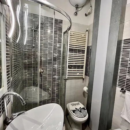 Amoroma Latina 로마